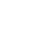 shopify-icon